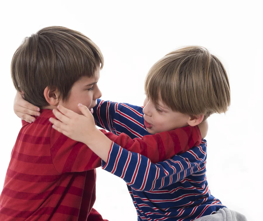 two brothers fighting